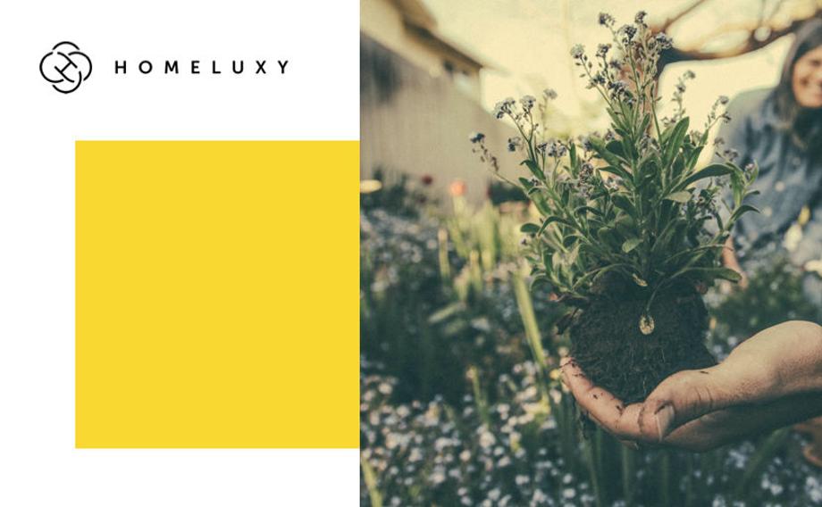 Twitter prepare your garden.jpg